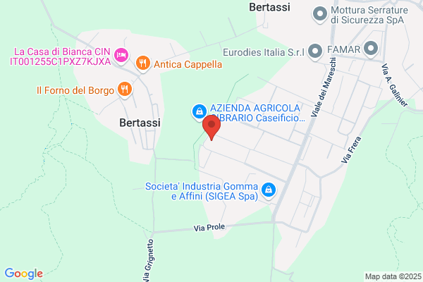 Scanferla bruno