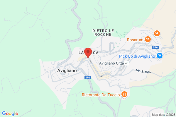 Rosa tommaso