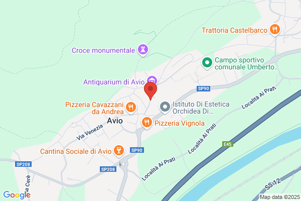 Soldavini piero (Geom.)