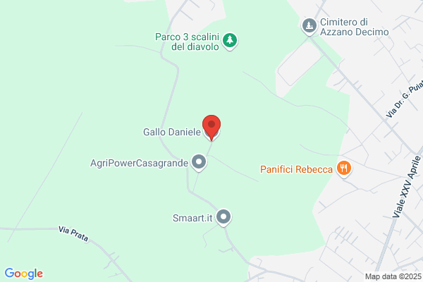 Gallo Daniele (Dr.)