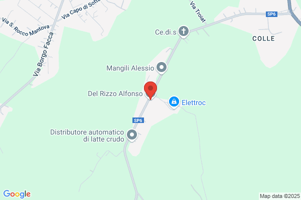 Del Rizzo Artemio