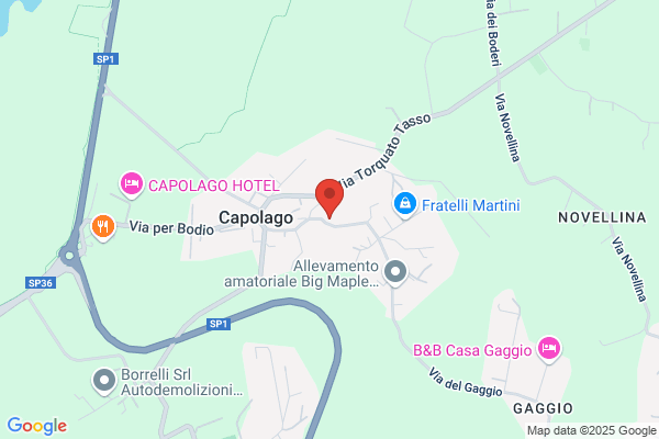 Oche Giulive