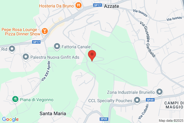 Spini artemio