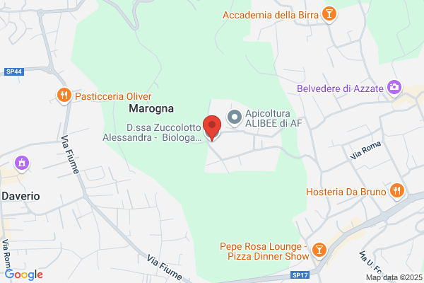 Zuccolotto antonio