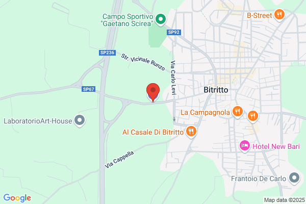 Il Maggiolino Di Verrone Giacoma
