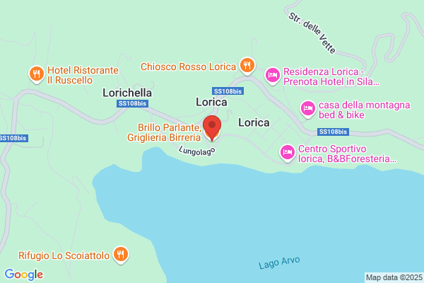 Il Grillo Parlante Di Luccarelli Laura
