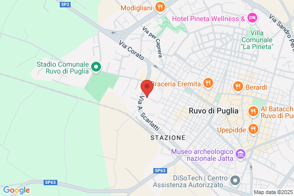 Fiore Domenico