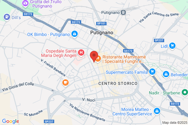 Triggiani francesco