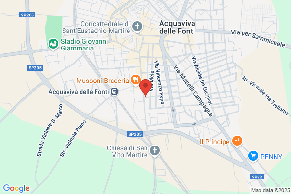 Grilli Vincenzo (Prof.)