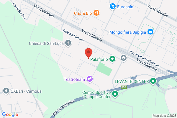 Istituto Professionale Di Stato Per Lindustria E Lartigianato E./// (Majorana