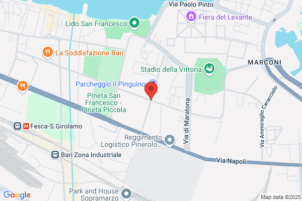 Padolecchia nicola (Prof.)