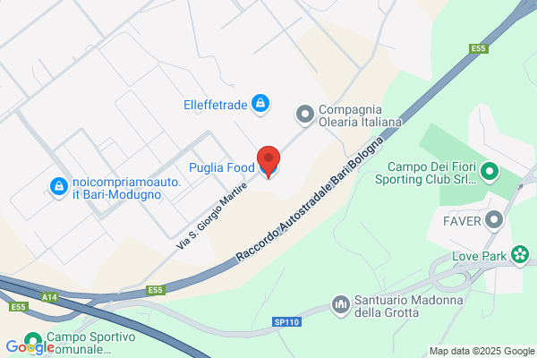 Societa Italiana Alimenti Surgelati Srl