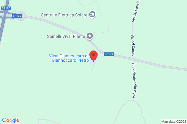 Giannoccaro Pietro