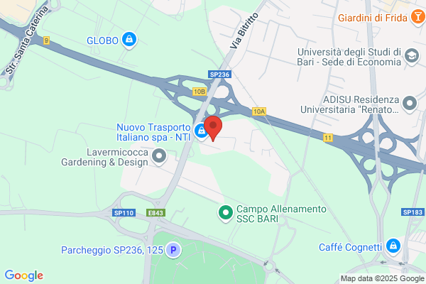 Qualita Servizio Cortesia Srl