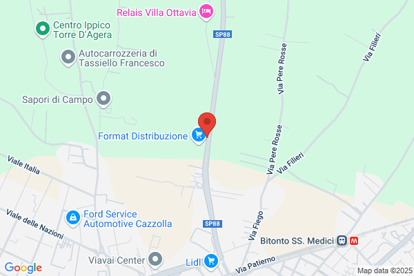 Istituto Di Vigilanza Metronotte Pugliese