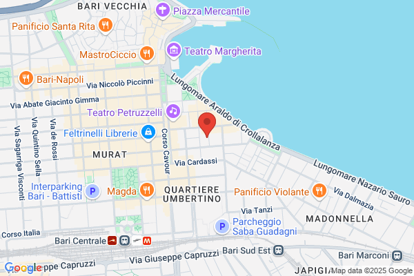 Pmi Consulting Sud