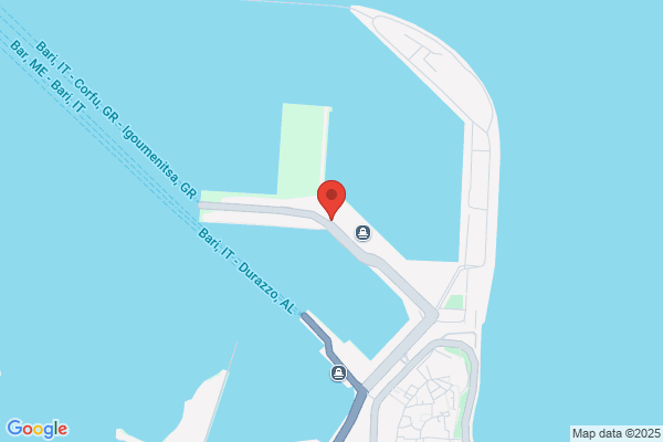 Cruise Shipping Consulting Agency