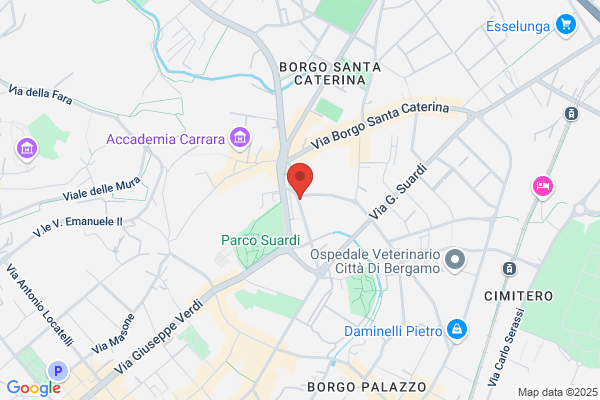 Studio Veterinario Animal Hospital