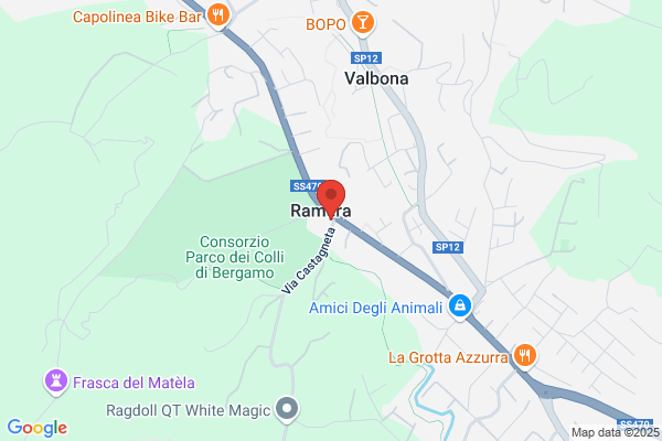Il Collare D'Oro