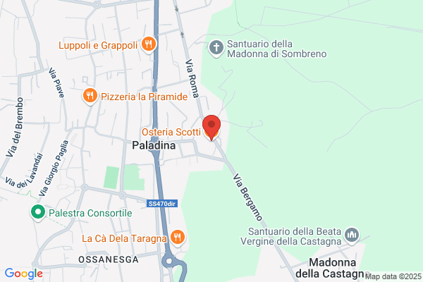 Sodo nicola (Dr.)