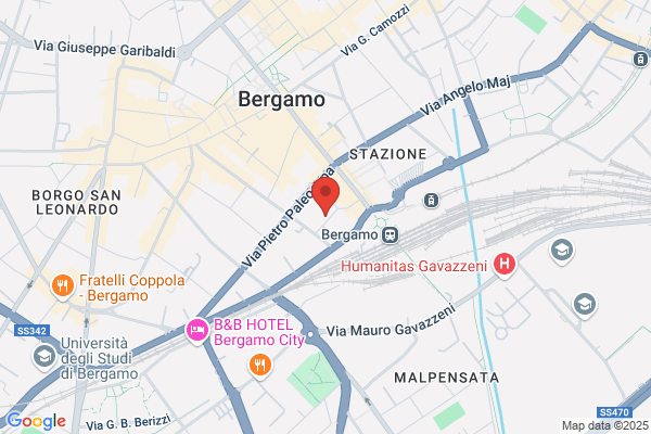 Regonesi adriana (Rag.)