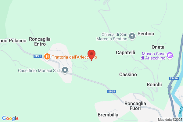 Manzoni francesca