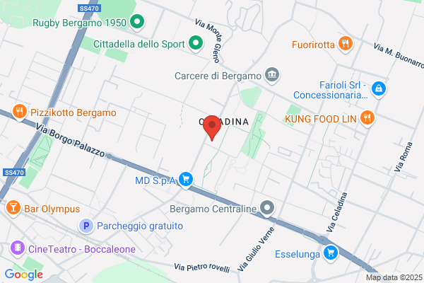 Panseri tina