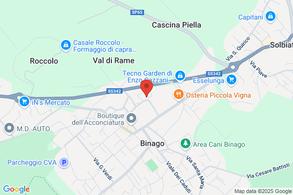 Rimoldini Daniella & C. (S.N.C.)
