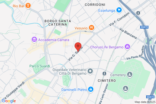 Bergamo Ambiente E Servizi (S.P.A.)
