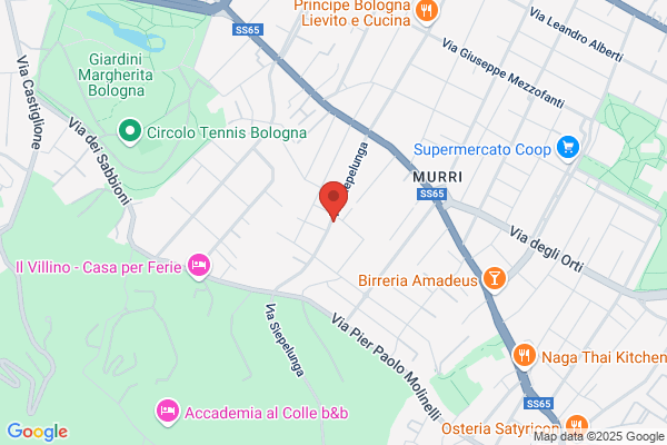 Frappi Bologna Alta S.R.L.