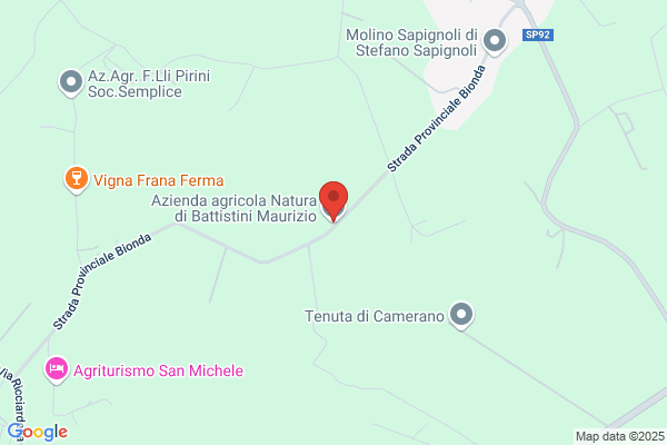 Nucleo Di Frediani Basilico E Battistini S.N.C.