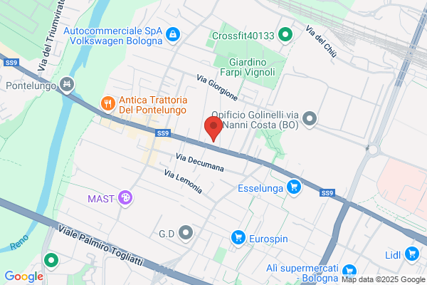 Toelettatura Mondo Cane