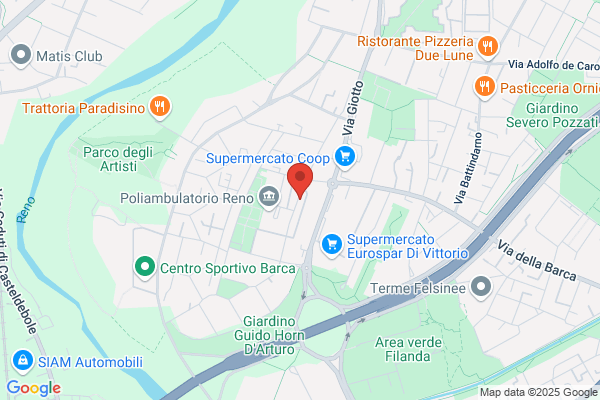 Palomba guido (Arch.)