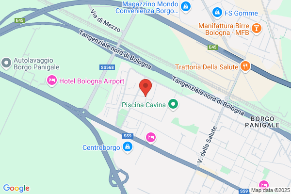Polisportiva Atletico Borgo Panigale