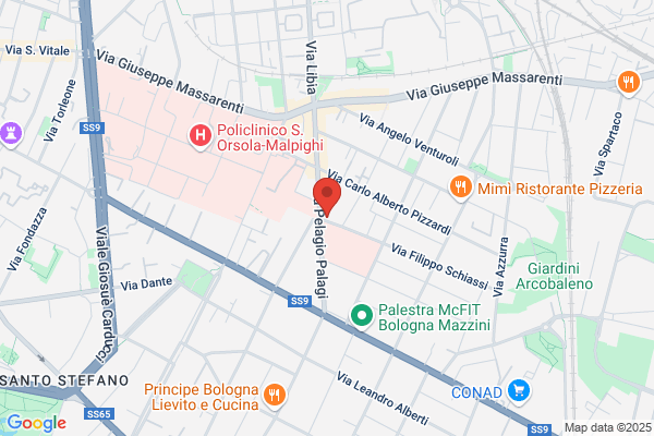 Fials Bologna