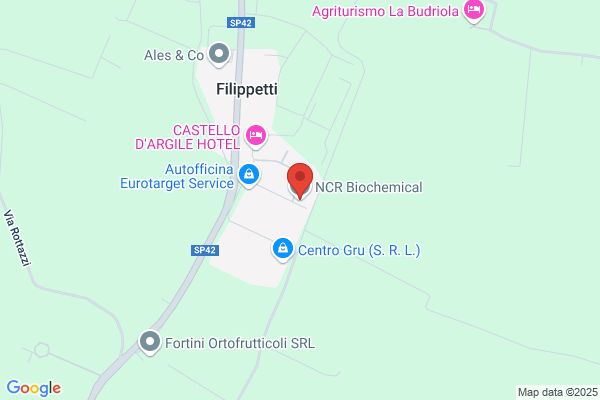 Ncr Italia S.P.A
