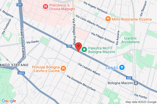 Fedeli Bologna S.r.l.