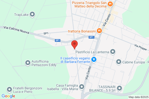 Impresa Costruzioni Pederzini E Prati S.R.L.