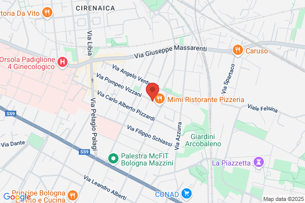 Pellicceria Casarini Renzo .