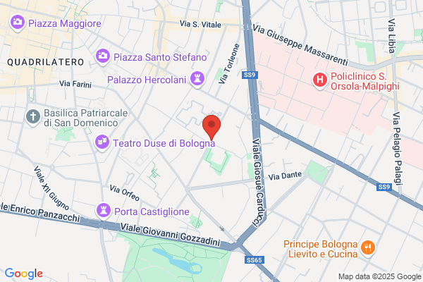 Libri & Co. Di P.Franchi