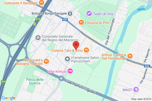 Il Pilota