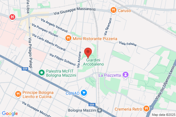 Renzi rudi