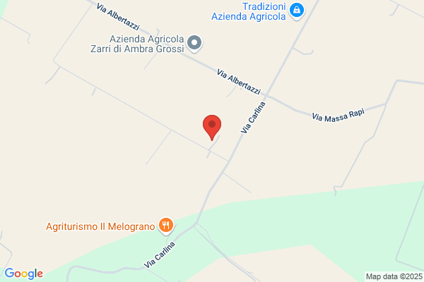 Michelini anna Maria