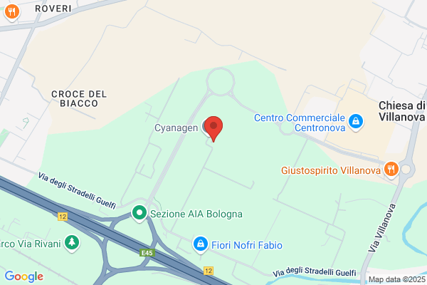 Elettromeccanica Iceb (S.R.L.)