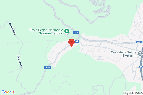 Magelli dario