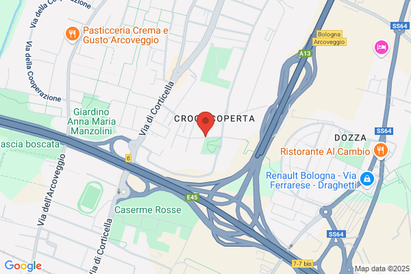 Grafoincisa