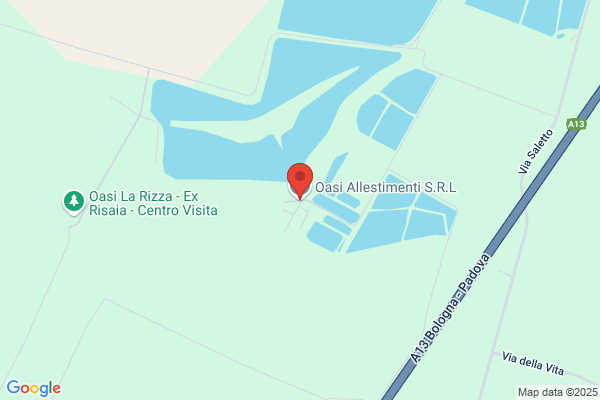 Oasi Srl