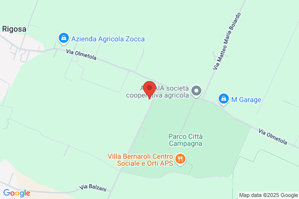 Pulga patrizia