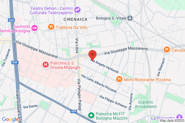 Tondo tommaso