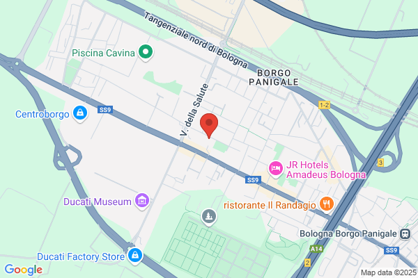 Bonori, Massimo